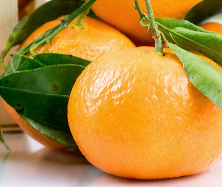 orange.jpg